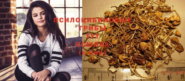 прущая мука Арсеньев