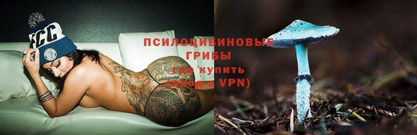 прущая мука Арсеньев
