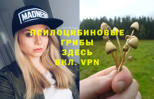 стафф Аркадак