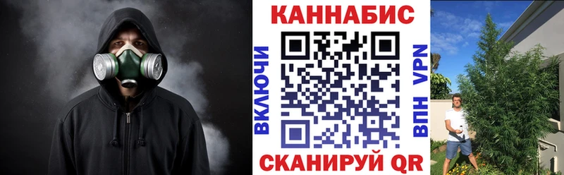 Купить где  Нефтекамск  Шишки марихуана сатива 